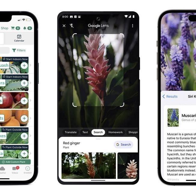 Gardening help in the palm of your hand: 5 apps, phone tips